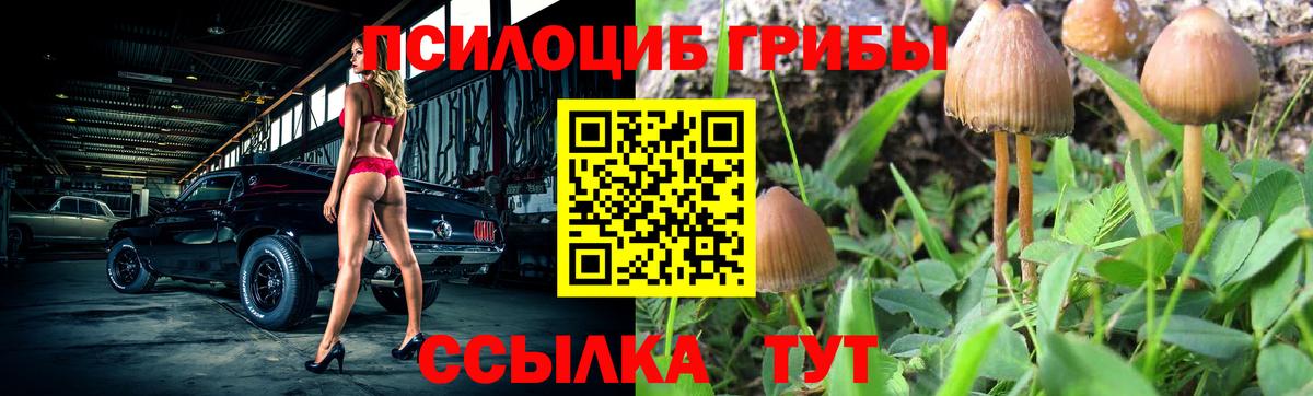 Галлюциногенные грибы GOLDEN TEACHER  Вход с VPN  Дербент 
