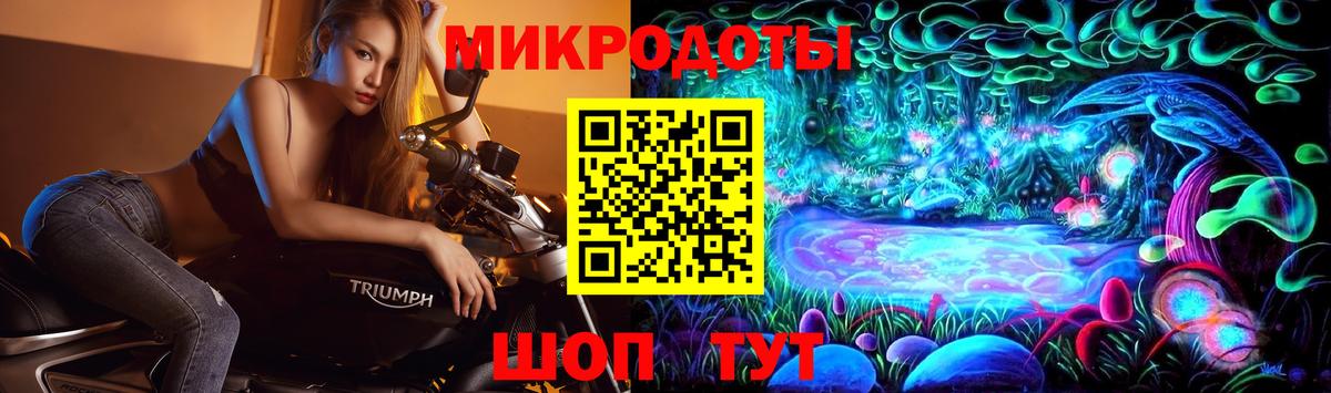 Псилоцибиновые грибы Psilocybe Дербент